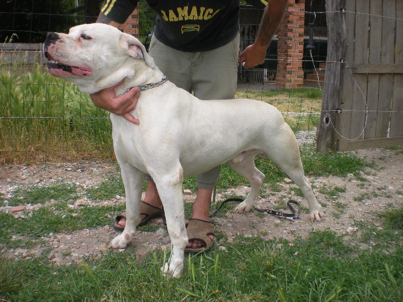 Calif Del Sol y de las Estrellas